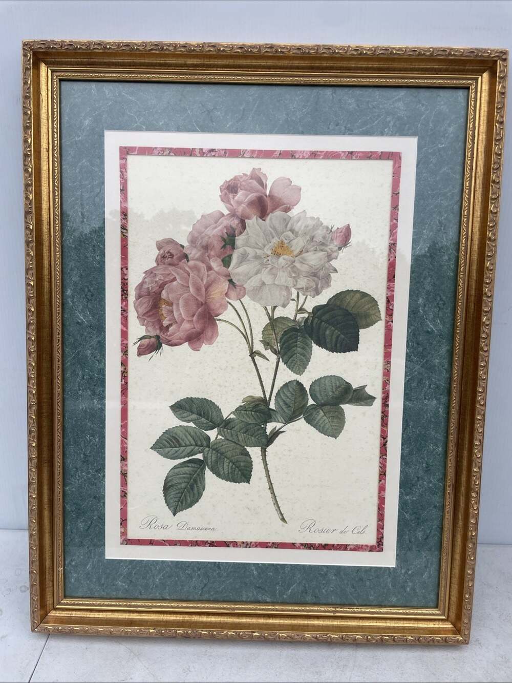 Rosa Damascena By Pierre-Joseph Redoute 31x24 Inch Framed Print